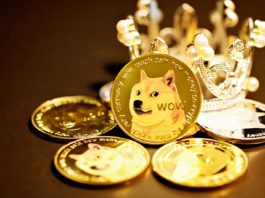 what-is-dogecoin-and-how-it-works